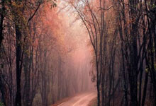 嗯，先聊点实在的吧。天涯社区是啥？嘿，它就是个超火的网络社区，大家为了各种话题聚会交流。刚过完一个长假回到三亚，心情还high着，别提多惬意了。